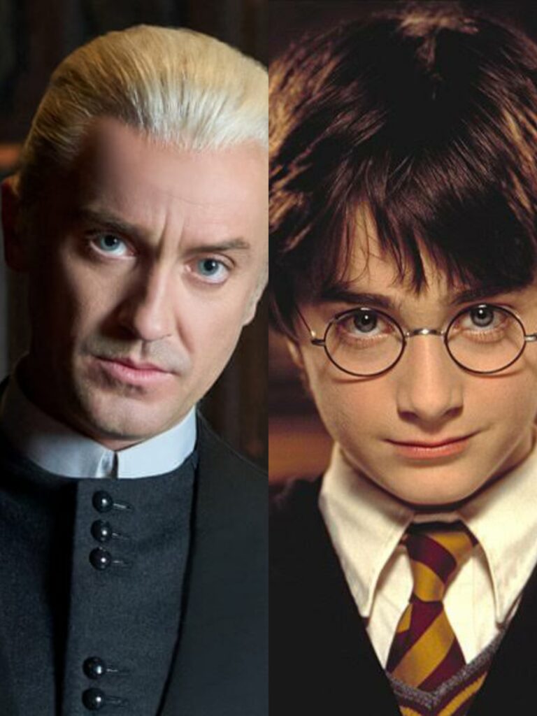 Draco Malfoy and Harry Potter – Harry Potter Series