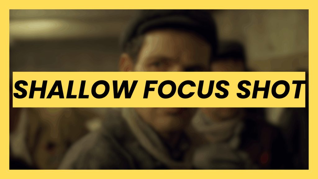 shallow focus shot