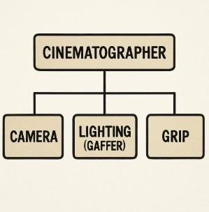 A simplified organizational chart showing the Cinematographer at the top, leading the Camera, Lighting (Gaffer), and Grip departments.